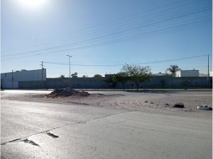 Terreno en renta en La Union, Torreón, Coahuila de Zaragoza