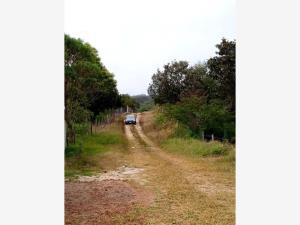 Terreno en venta en El Porvenir, Teopisca, Chiapas
