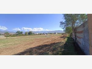 Terreno en venta en Tlalixtac de Cabrera, Tlalixtac de Cabrera, Oaxaca