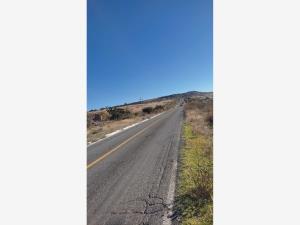 Terreno en venta en Coroneo Centro, Coroneo, Guanajuato