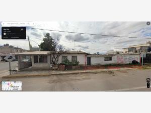 Terreno en renta en Unión Ejidal Tierra y Libertad, Tlaxco, Tlaxcala