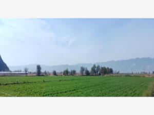 Terreno Agrícola en Venta de 2.04 Hectáreas en León Guzmán, Lerdo Terreno Agrícola en Venta de 2.04 Hectáreas en León Guzmán, Lerdo