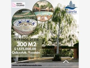 Terreno en venta en Chicxulub, Chicxulub Pueblo, Yucatán