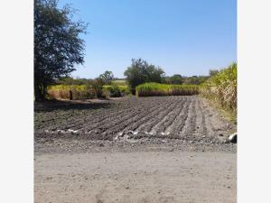 Terreno en venta en El Crucero de Atlacholoaya, Xochitepec, Morelos