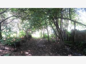 Terreno en venta en Jaime Torres Bodet, Tláhuac, Ciudad de México
