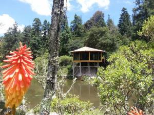 Terreno en venta en Mineral del Monte Centro, Mineral del Monte, Hidalgo