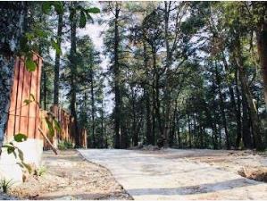 Terreno en venta en Mineral del Monte Centro, Mineral del Monte, Hidalgo