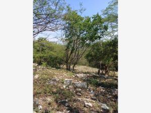 Terreno en venta en Las Bóvedas, Tlaquiltenango, Morelos