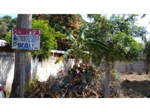 Terreno en renta en Ampliación Adolfo Ruiz Cortines, Tuxpan, Veracruz de Ignacio de la Llave