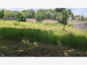 Terreno en venta en Lomas de Vista Hermosa, Cuernavaca, Morelos