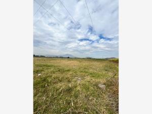 Terreno en venta en Santa Cruz del Astillero, El Arenal, Jalisco