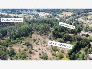 Terreno en venta en Pontezuelas, Charo, Michoacán de Ocampo