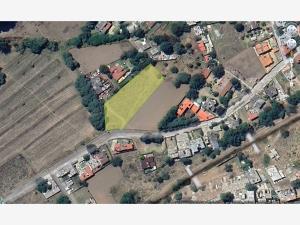 Terreno en renta en Centro Ocoyoacac, Ocoyoacac, México