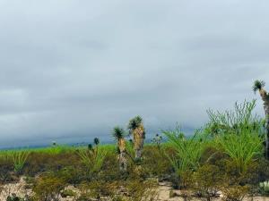 Finca-Rancho en venta en Cosme, Ramos Arizpe, Coahuila de Zaragoza