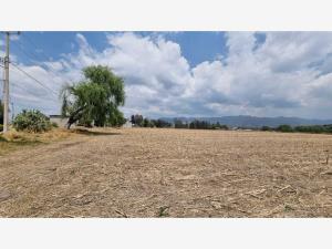 Terreno en venta en Villa Cuauhtemoc, Otzolotepec, México