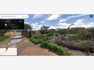 Terreno en venta en Palma de la Cruz, Soledad de Graciano Sánchez, San Luis Potosí
