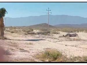 Terreno en venta en Parras, Parras, Coahuila de Zaragoza