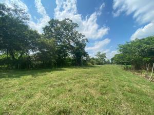 Terreno en venta en San Francisco, Comalcalco, Tabasco