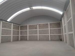 Bodega en renta en Reforma, San Mateo Atenco, México