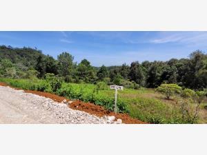 Terreno en venta en El Pinar, San Cristóbal de las Casas, Chiapas