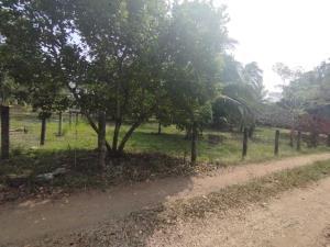 Terreno en venta en Tinajitas, Actopan, Veracruz de Ignacio de la Llave