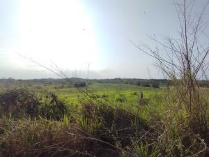 Terreno en venta en Loma Iguana, La Antigua, Veracruz de Ignacio de la Llave