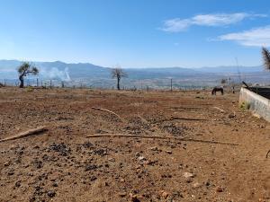 Terreno en venta en Los Llanos, Morelia, Michoacán de Ocampo