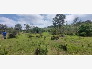 Terreno en venta en Zacualpan de Ecatepec, San Cristóbal de las Casas, Chiapas