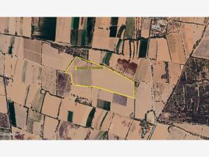 Finca-Rancho en venta en El Carmen, Tepezalá, Aguascalientes