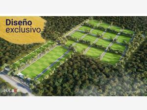 Terreno en venta en Conkal, Conkal, Yucatán Terreno en venta en Conkal, Conkal, Yucatán