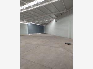 Bodega en renta en San Bartolome Tlaltelulco, Metepec, México