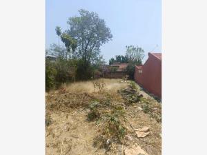 Terreno en venta en Las Fincas, Jiutepec, Morelos Terreno en venta en Las Fincas, Jiutepec, Morelos
