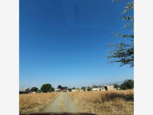 Terreno en venta en Yecapixtla, Yecapixtla, Morelos