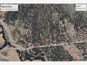Terreno en venta en Los Llanos, Arteaga, Coahuila de Zaragoza