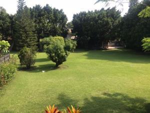 Terreno en venta en Delicias, Cuernavaca, Morelos