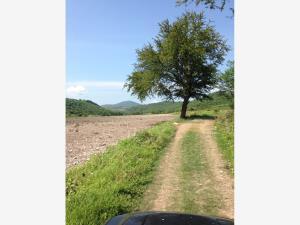 Terreno en remate en Tlaltizapán Centro, Tlaltizapán de Zapata, Morelos