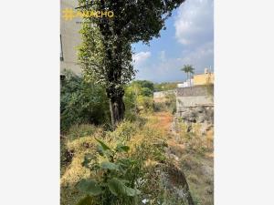 Terreno en venta en Reforma, Cuernavaca, Morelos