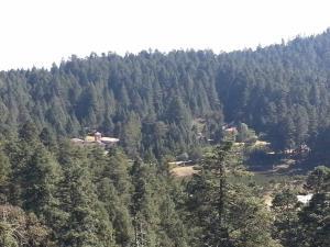 Terreno en venta en Mineral del Monte Centro, Mineral del Monte, Hidalgo