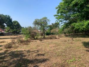 Terreno en venta en El Porvenir, Coatepec, Veracruz de Ignacio de la Llave
