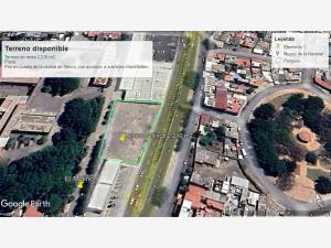 Terreno en renta en Atlixco Centro, Atlixco, Puebla