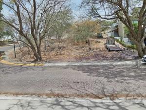 TERRENO EN VENTA LAS CAÑADAS TERRENO EN VENTA LAS CAÑADAS