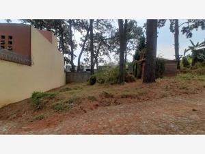 Terreno en venta en Lomas de Tzompantle, Cuernavaca, Morelos