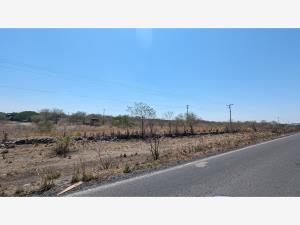 Terreno en renta en Juluapan, Villa de Álvarez, Colima