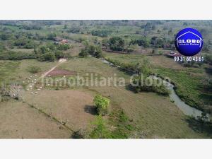 Finca-Rancho en venta en Profesor Caparroso 1ra. Sección, Macuspana, Tabasco Finca-Rancho en venta en Profesor Caparroso 1ra. Sección, Macuspana, Tabasco