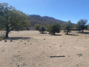Terreno en venta en 6 de Enero, Cuauhtémoc, Chihuahua