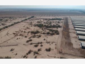 TERRENO EN VENTA EN SAN ROQUE, GOMEZ PALACIO, DGO