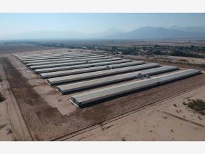 TERRENO EN VENTA EN SAN ROQUE, GOMEZ PALACIO, DGO
