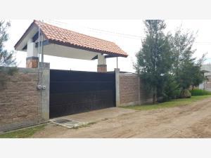 Terreno en venta en Yecapixteca, Yecapixtla, Morelos