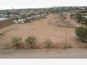 TERRENO EN RENTA EN GOMEZ PALACIO, DGO