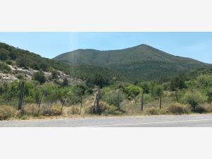 Terreno en venta en Los Lirios, Arteaga, Coahuila de Zaragoza